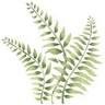 Acadia Cottage Rentals Inc.