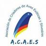 Associació de Criadors d'Aus Exòtiques i Silvestres (Acaes)