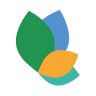 Accento Incentives DMC