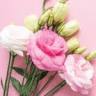 Accent On Flowers