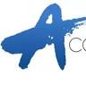 Access Inc