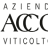 Giulio Accornero e Figli