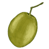 Finca La Alegría