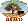 Aceitunas y Encurtidos Bravo