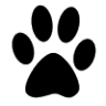ACE of Paws