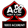 Ace Rent A Car