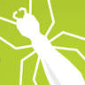 Ace Termite & Pest Solutions
