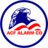 ACF Alarm Company