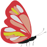 A Child's Heart Learning Center & Nursery