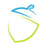 Acorn Digital Media