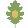 Acorn + Oak Property Management
