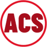 Action Computer Services, LLC