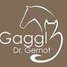 Dr. Gernot Gaggl