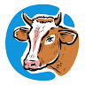 Adarsh Dairy