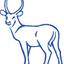 Addax
