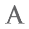 Adelante Boutique