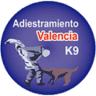 Adiestramiento Valencia (Valencia y Sagunto)