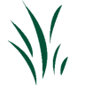 Advance Lawn Service Company, LLC