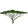 Adventure Vacation Safaris