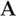 Advocate Legal Search