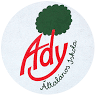 Ady Endre Primary School