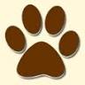 Animal Emergency Center - Rochester