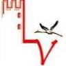 Montemor-o-Velho Group of Schools