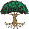 Afforest CrossFit