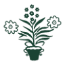 Afterall Floral
