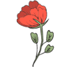 AFTERRAINFLORIST