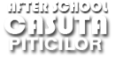 After School Casuta Piticilor