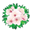 Aga Flora Drzewa Krzewy Kwiaty Tania Roślinność