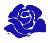 Agenzia Funebre La Rosa Blu Srl