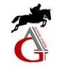 Amanda Garcia Equestrian Training