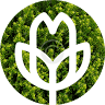 Aglietti Floricoltura