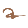 Agnulot Il Ristorantino