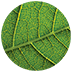 Agricola Holistic Health - (Physiotherapy, Massage Therapy, Chiropractic)