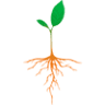 Agricola Santo Domingo