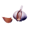 Agrícola Simarro Sl