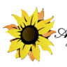 Farmhouse Il Girasole Assisi