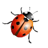Agriturismo La Coccinella