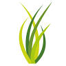 AGROFRESC