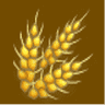 AGROQUÍMICOS OCHOA, S.L.(OLAMENDI)