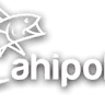 Ahipoki