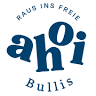Ahoi Bullis Camper Hire