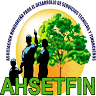 AHSETFIN