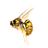 Aid Pest Control