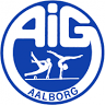 AIG - Aalborg Stadionhal 3