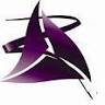 Australian Institute of Kinesiologists Ltd