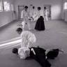 Aiki-Dojo-Leer